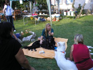 2007: Tierärztin Manuela Feldmann ganz locker bei der Demonstration fachgerechter Akupunktur bei Artus