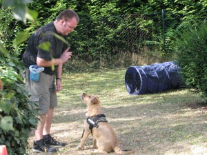 Sommerfest 2009: Vorbildliche Hundeerziehung mit der Hundeschule Lupo